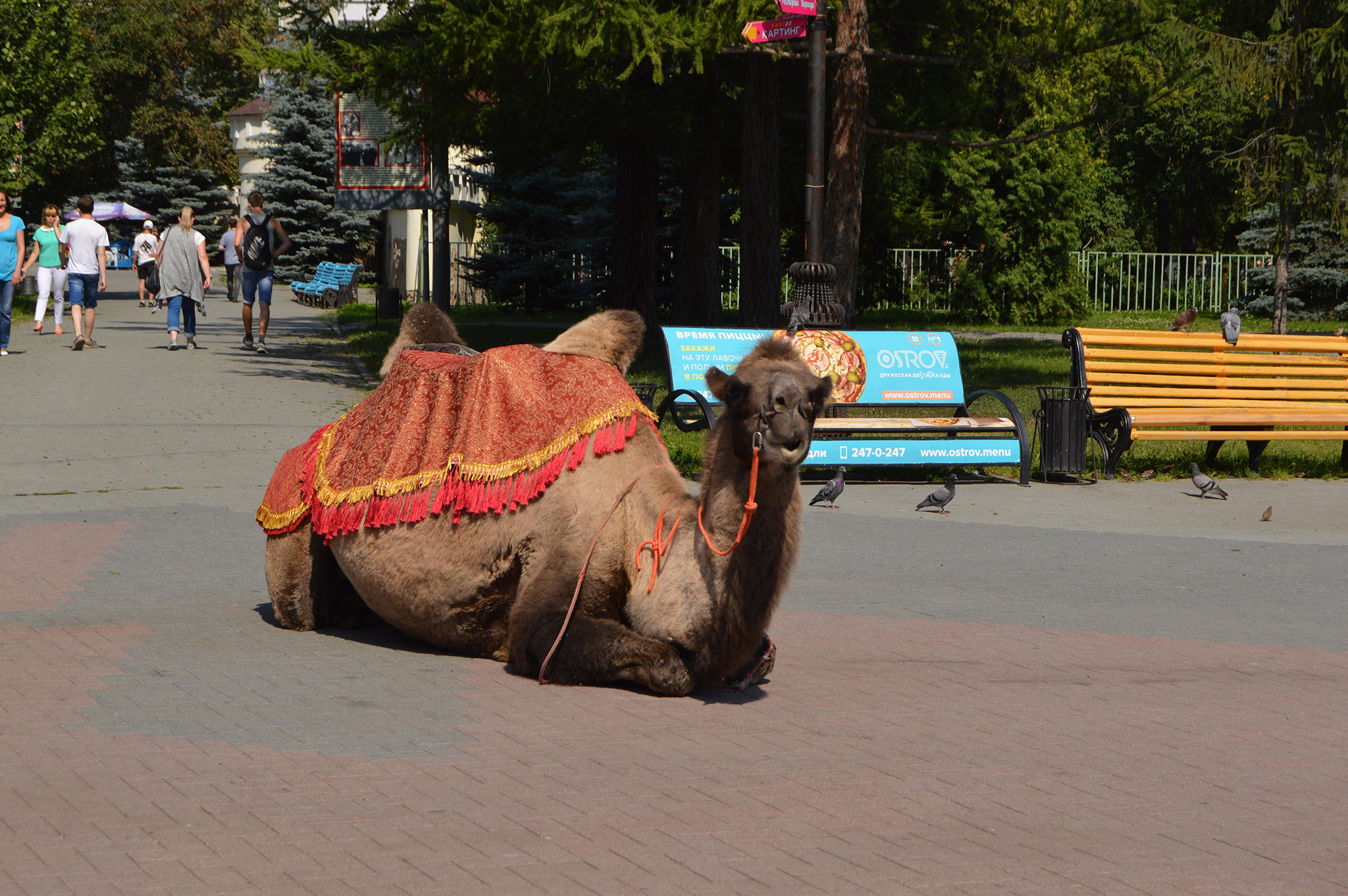 Челябинск (Chelyabinsk)